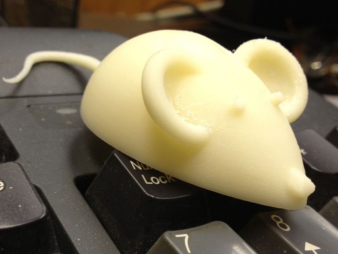 Fichier:Mouse.jpg