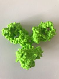 Immunoglobuline G imprimée en 3D à partir de 1igy sur PDB