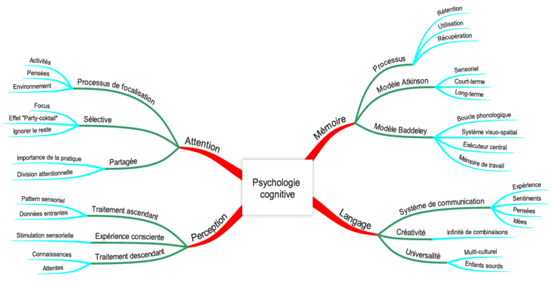 Figure 3.Exemple de carte heuristique sur la thématique : Psychologie Cognitive