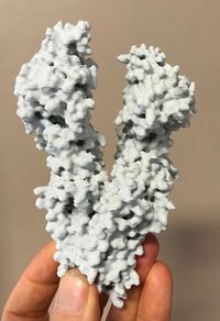 Photo de la protéine CFTR imprimée en 3D avec une imprimante simple, à partir du fichier joint à la page