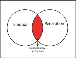 Baharom et al., (2014) Intersection-between-Emotion-and-Perception.png