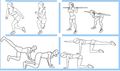 Fessiers-cuisses-exercices2.jpg