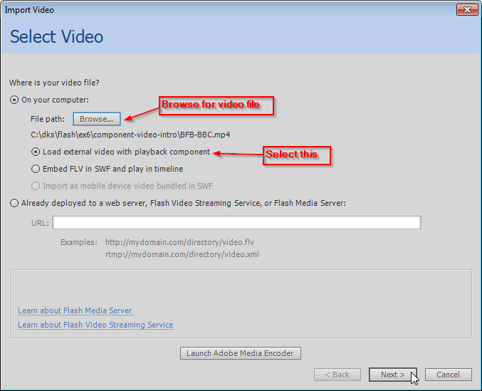 File:Flash-cs6-import-video-select-video.png