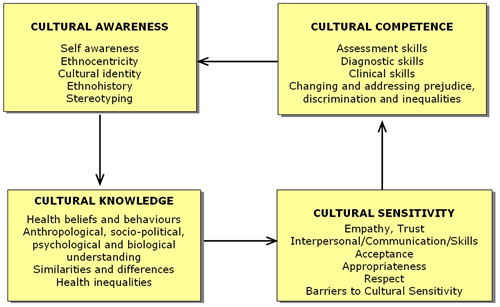 File:Papadopoulos-cultural-competence-model.jpg