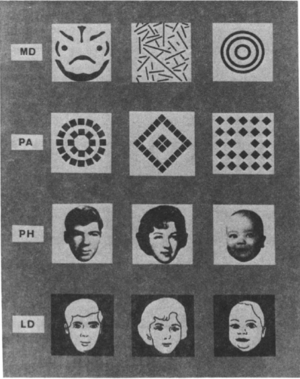 Fichier:Memoire et preference visuelle fagan 1974.png