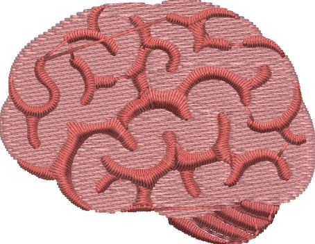 Fichier:Brain-noto-simulation-1.jpg