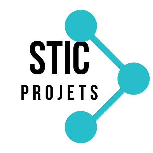 STIC portail logo.png