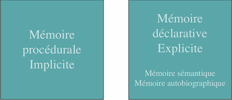 Fichier:Divers types de memoires et de taches.gif