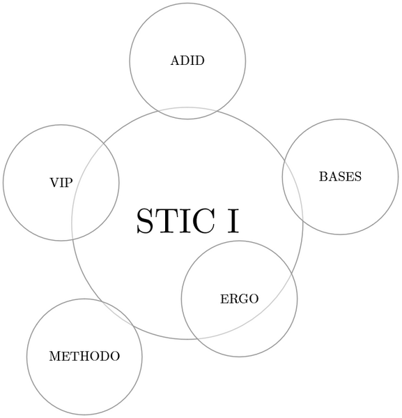Fichier:STIC-1-integration-maltt.png