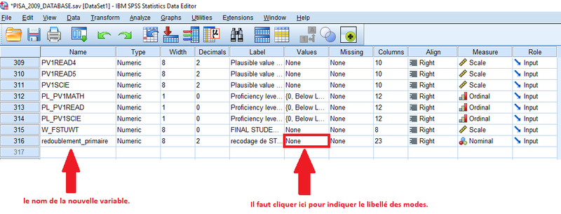 Fichier:Nouvelle variable spss.png