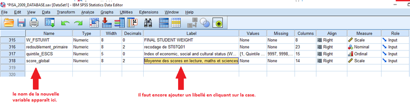 Fichier:Nouvelle variable spss02.png