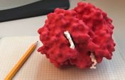 Hemoglobine complète imprimée en 3D à partir de 2hhb sur PDB (2x2 sous-unités en rouge groupements hème en blanc)