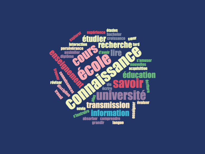 Fichier:Wordcloud ADID1 groupe ROSS.png