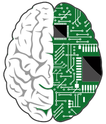 Cerveau à moitié biologique, à moitié circuit imprimé