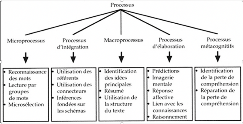 Fichier:Modèle interactif de la compréhension - les processus de compréhension.png