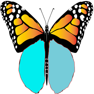Fichier:Papillon gravure.svg