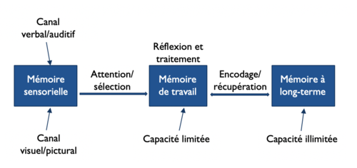 Schéma des composantes de la mémoire, repris et traduit de Mayer et Moreno (2007)