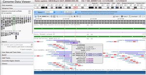 Séquence du gène CFTR dans GDV avec un snp (rs 113993960) mis en évidence
