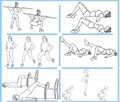 Fessiers-cuisses-exercices1.jpg