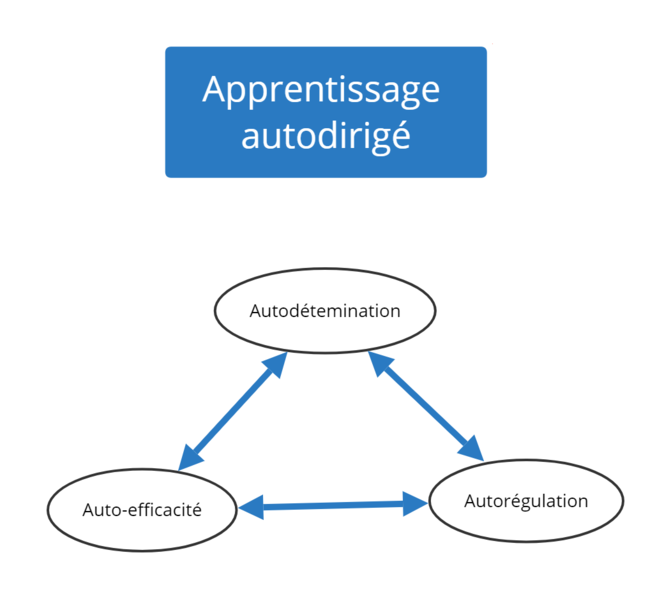 Fichier:Apprentissage autodirigé.png