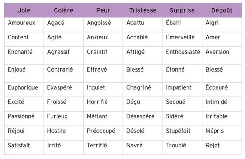 Fichier:Classificationemotions .png