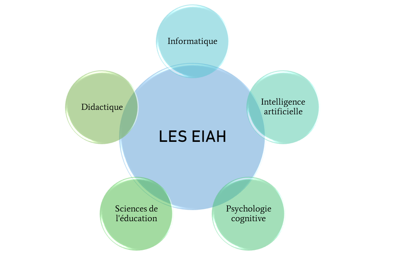 Fichier:EIAH pluridisciplinarité.png