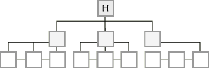Strict hierarchy model
