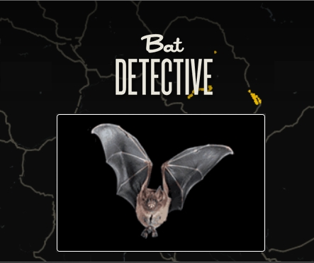 File:Batdetective.jpg
