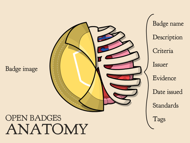 File:Open-badge-anatomy.png
