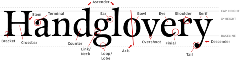 Anatomy of a typeface. Source: http://www.fontshop.com/glossary/
