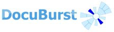 Docuburst-logo.png