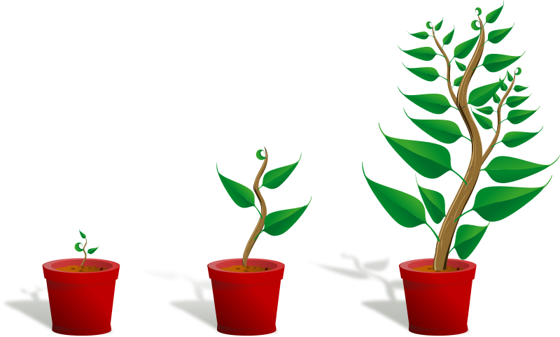 File:Plant-002 growing.svg