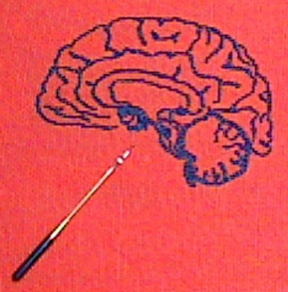 File:Brain-embroidered.jpg